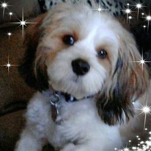 Meet your Posher, Ramona